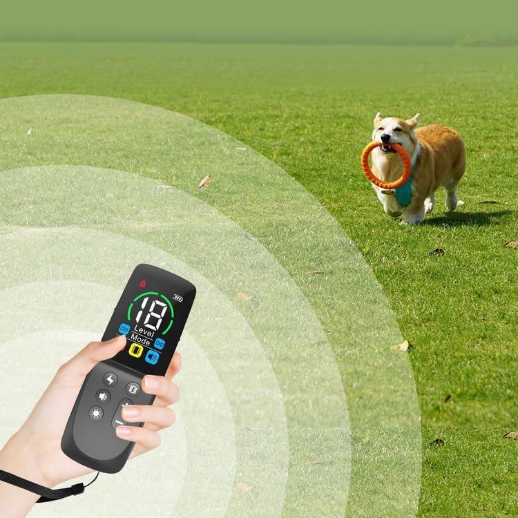 Generisch Agility-Ausrüstung für das Hundetraining,Hundehalsband zur Verhaltenssteuerung, längenvers