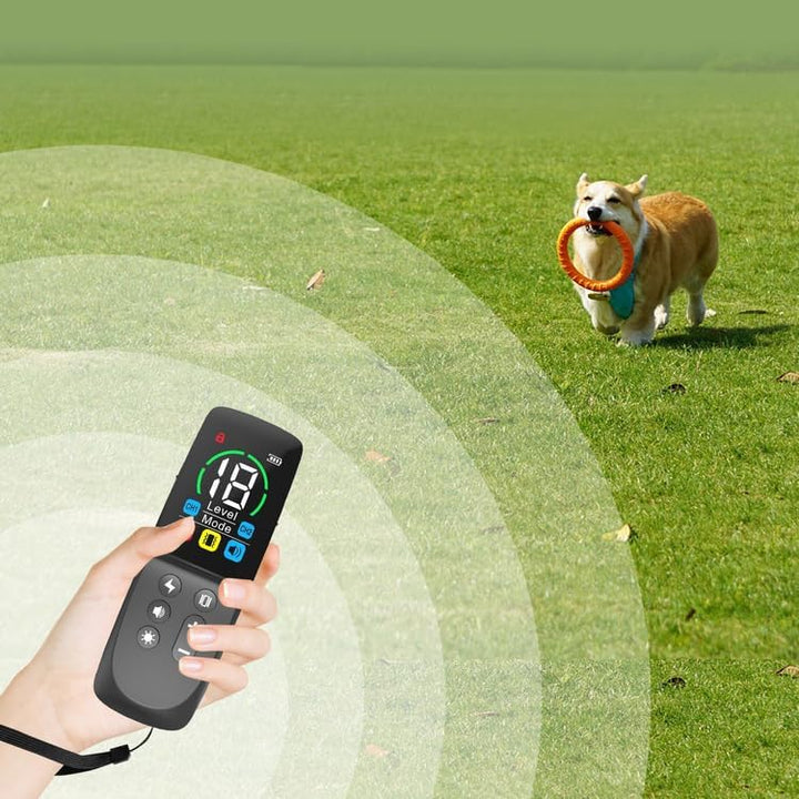 Generisch Agility-Ausrüstung für das Hundetraining,Hundehalsband zur Verhaltenssteuerung, längenvers