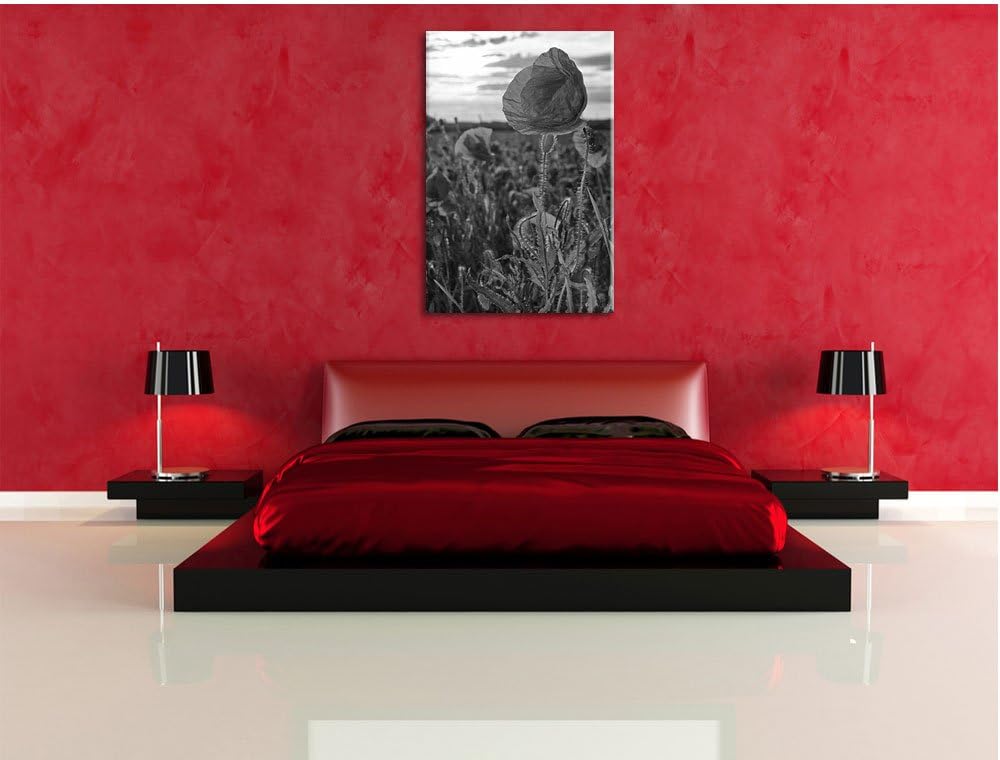 Mohnfeld Kunst B&W, Format: 100x70 auf Leinwand, XXL riesige Bilder fertig gerahmt mit Keilrahmen, K