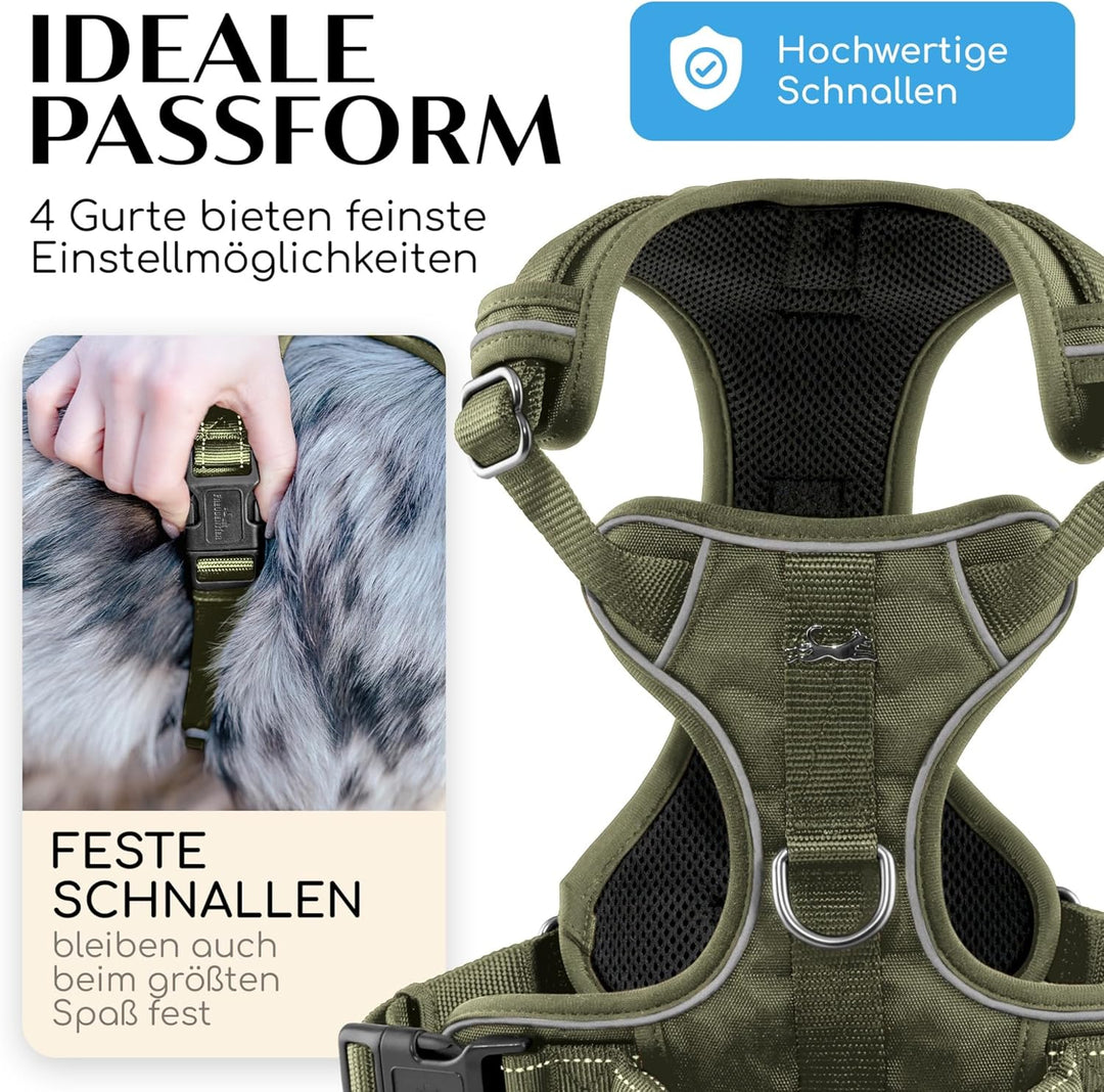 FREUDENTIER Hundegeschirr mit Mesh-Polsterung - Höchster Komfort, bombenfester Sitz &amp; maximale Siche