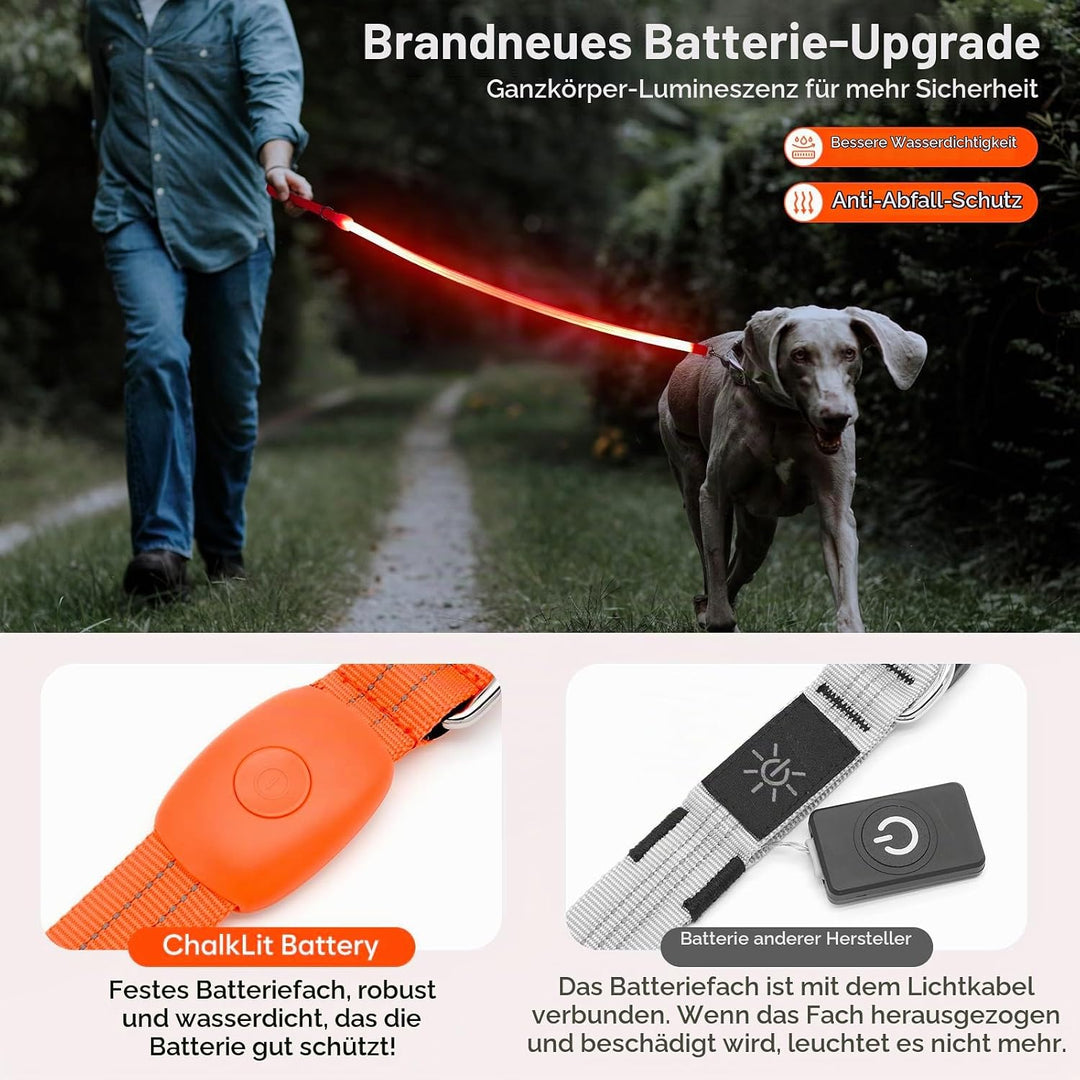 ChalkLit LED Hundeleine, Beleuchtete Hundeleine über USB Wiederaufladbar, 1,2 m, Weich Wasserdicht R