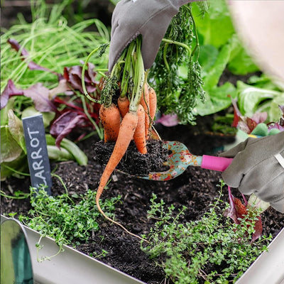 Colwelt Blumen-Gartenwerkzeug-Set, 6-teilig, Garten-Set mit schönem Aufdruck, Gartengeschenke für Fr