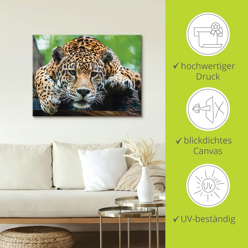 ARTland Leinwandbilder Wandbild Bild auf Leinwand 60x45 cm Tiere Wildtiere Raubkatze Fotografie Brau