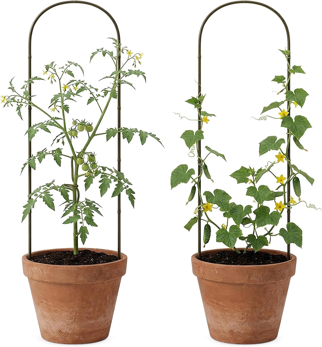 Bambus Pflanzenstütze 75 x 20 cm Natur - 6er Set - Holz Rankbogen Kletterhilfe für Rankpflanzen - Ba