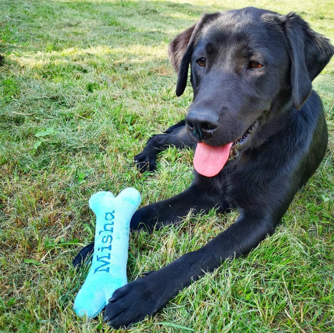 Generisch Personalisiertes Hundespielzeug Knochen mit Name – Welpengeschenk aus weichem Minky Plüsch