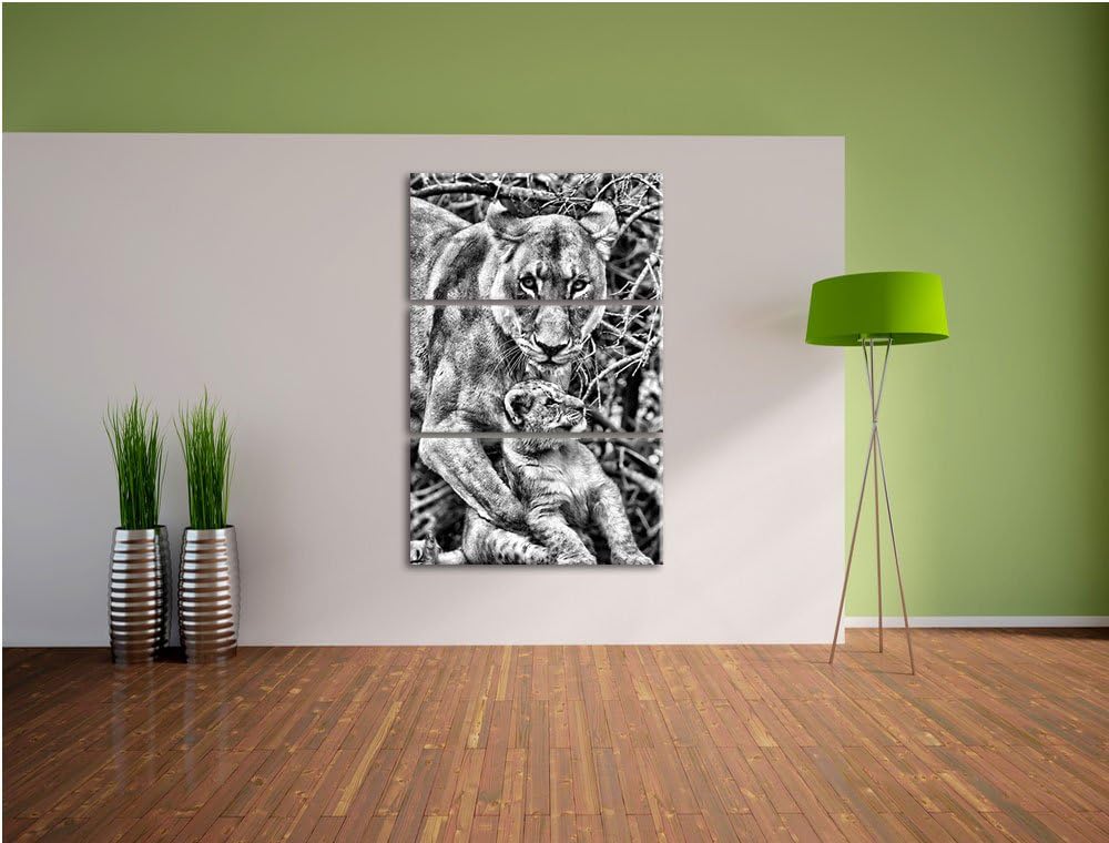 Pixxprint Löwin spielt mit Jungtier als Leinwandbild/Grösse: 3 Teilig (120x80 cm) cm/Wandbild/Kunstd