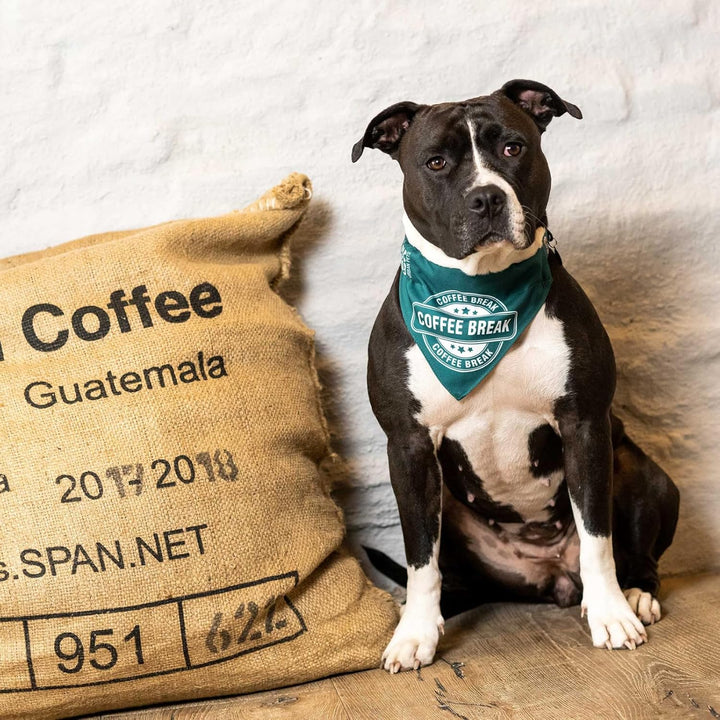 Max & Molly H-Geschirr - Coffee Break, S S Coffee Break, S Coffee Break