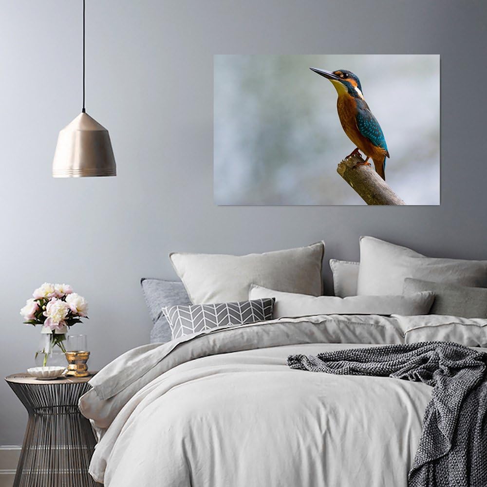 Feeby. Wandbild - 1 Teilig - 80x120 cm, Leinwand Bild Leinwandbilder Bilder Wandbilder Kunstdruck, V