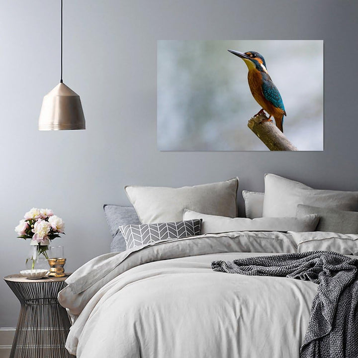 Feeby. Wandbild - 1 Teilig - 80x120 cm, Leinwand Bild Leinwandbilder Bilder Wandbilder Kunstdruck, V