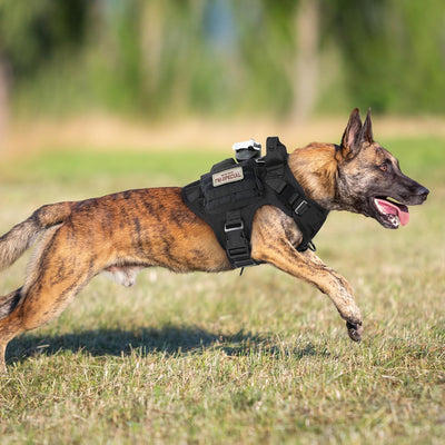 rabbitgoo Hundegeschirr für Grosse Hunde Taktische Hundegeschirrweste mit Griff No Pull Sicherheitsg