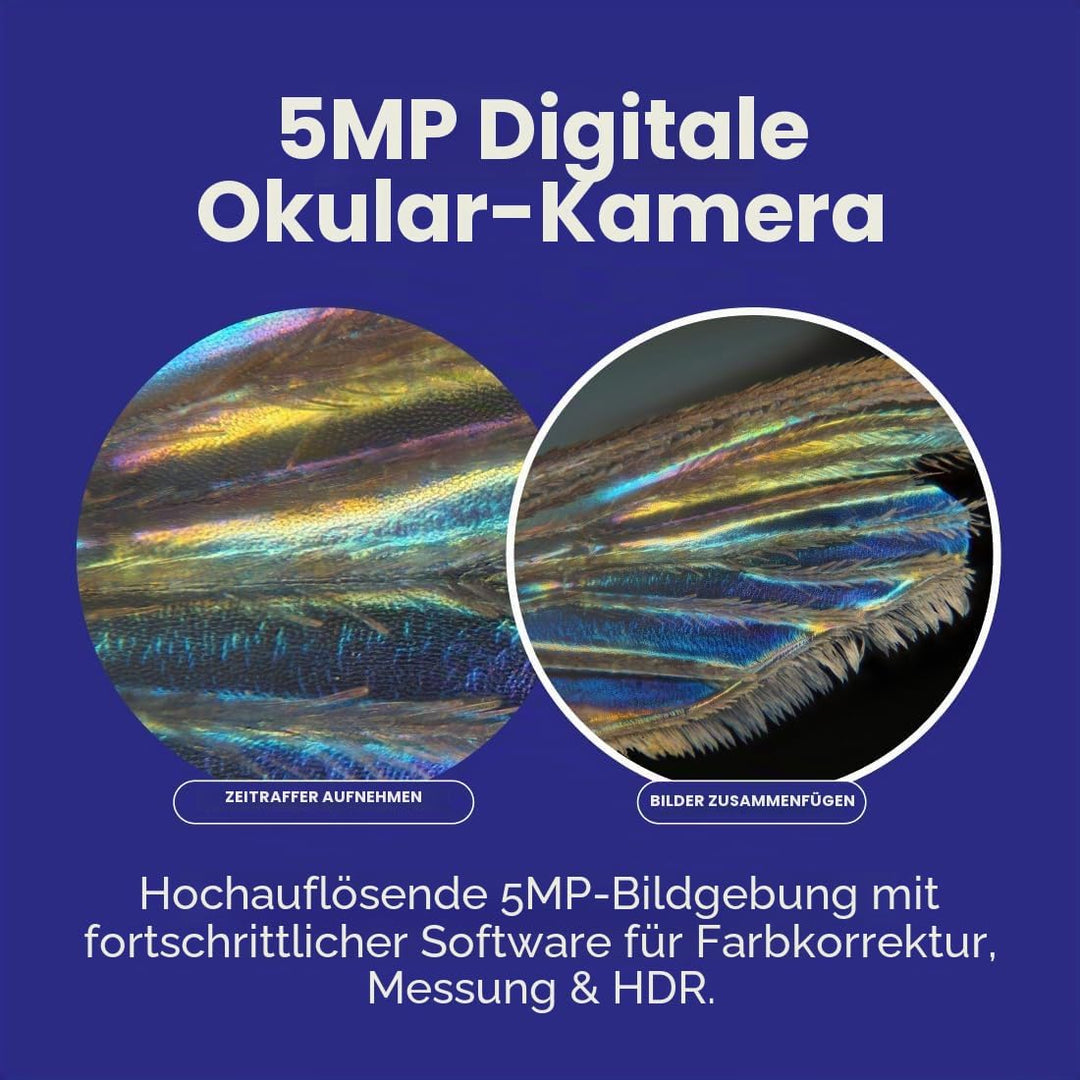 AmScope B120C-E5 40X-2500X LED Digitales Binokular-Verbundmikroskop mit 3D-Bühne und 5MP USB-Kamera