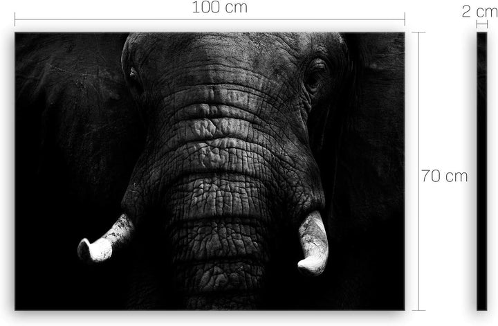 ge Bildet Bild auf Leinwand | Elefant - schwarz weiss in 100x70 cm als Wandbild | Wand-deko Dekorati