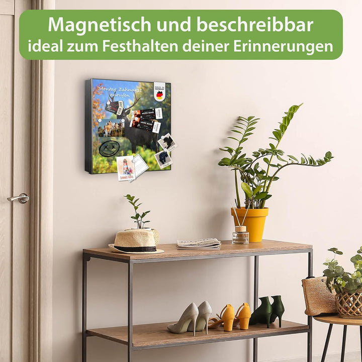 banjado® Grosser Schlüsselkasten Glas/Schlüsselbox 30cm x 30cm mit 50 Haken - Motiv Hirsch/Schlüssel
