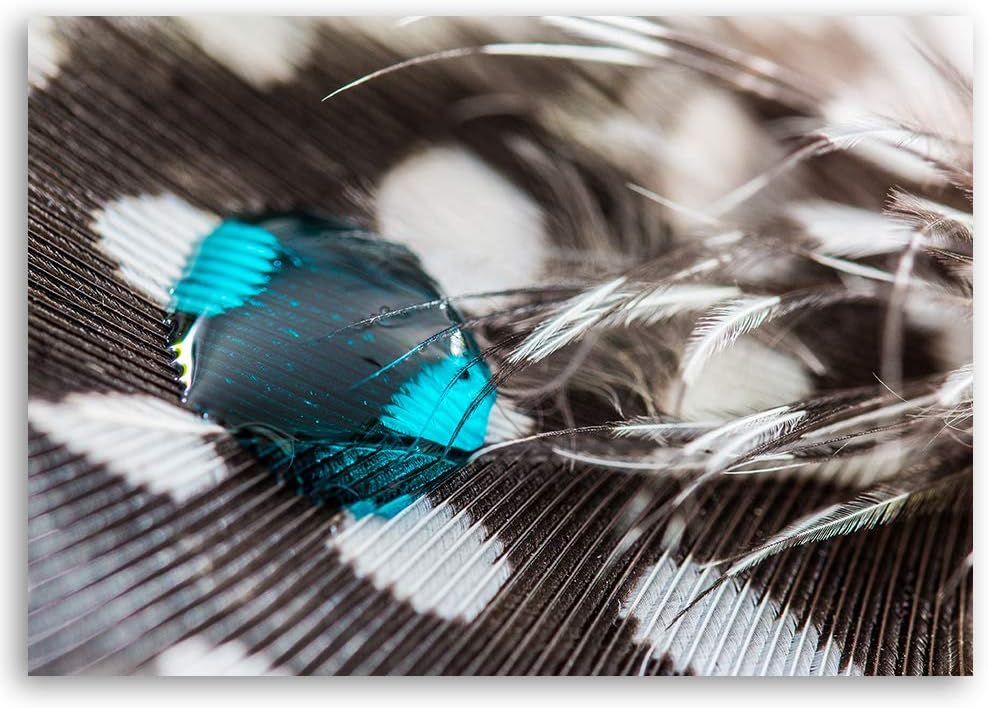 Feeby Wandbild Wassertropfen Druckbild Leinwandbild abstrakt Braun 70x50 cm M14229 70x50 cm, M14229