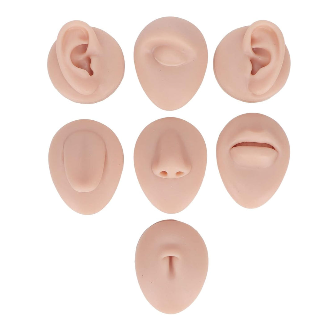Weiches Silikon, Flexibles Modell, Körperteil-Display-Set, Body-Piercing-Übungsmodell, Simulation, O