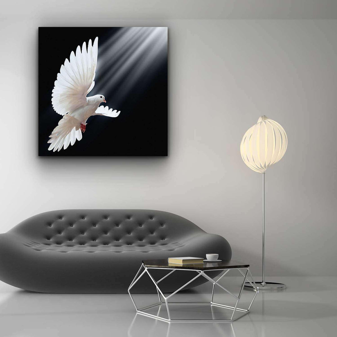 Startonight Bilder Weisse Tauben, Leinwandbilder Moderne Kunst, Tiere Wanddeko Kunstdrucke, Wandbild