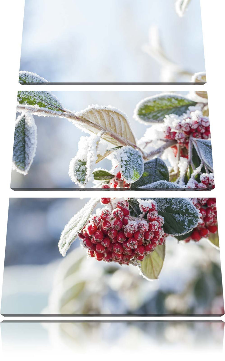 Pixxprint Vogelbeeren im Winter 3-Teiler Leinwandbild 120x80 Bild auf Leinwand