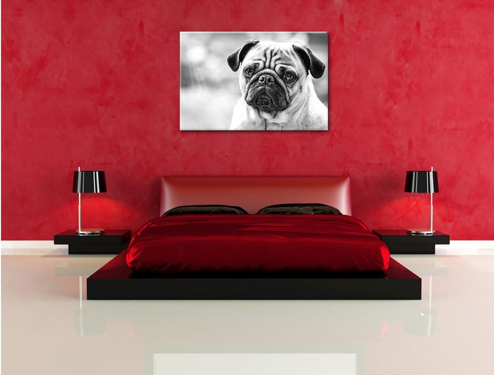 Mopsporträt Kunst B&W, Format: 100x70 auf Leinwand, XXL riesige Bilder fertig gerahmt mit Keilrahmen