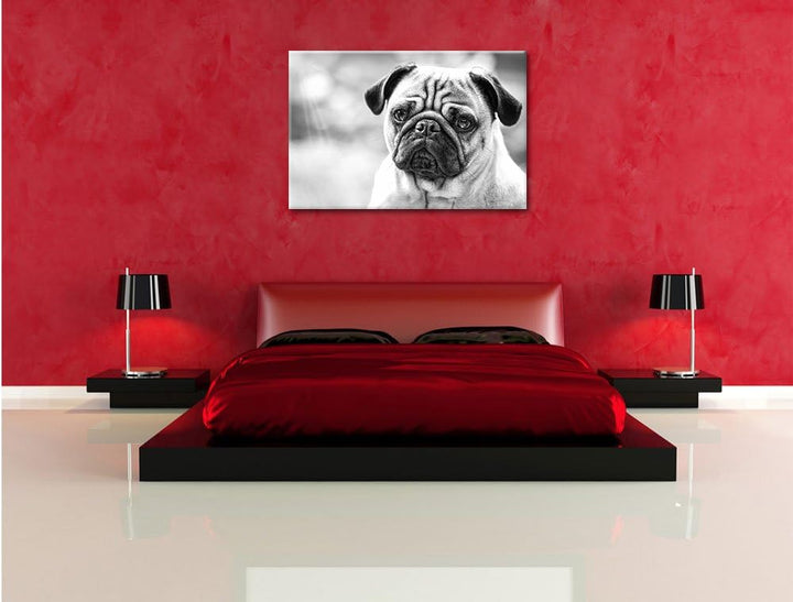Mopsporträt Kunst B&W, Format: 100x70 auf Leinwand, XXL riesige Bilder fertig gerahmt mit Keilrahmen