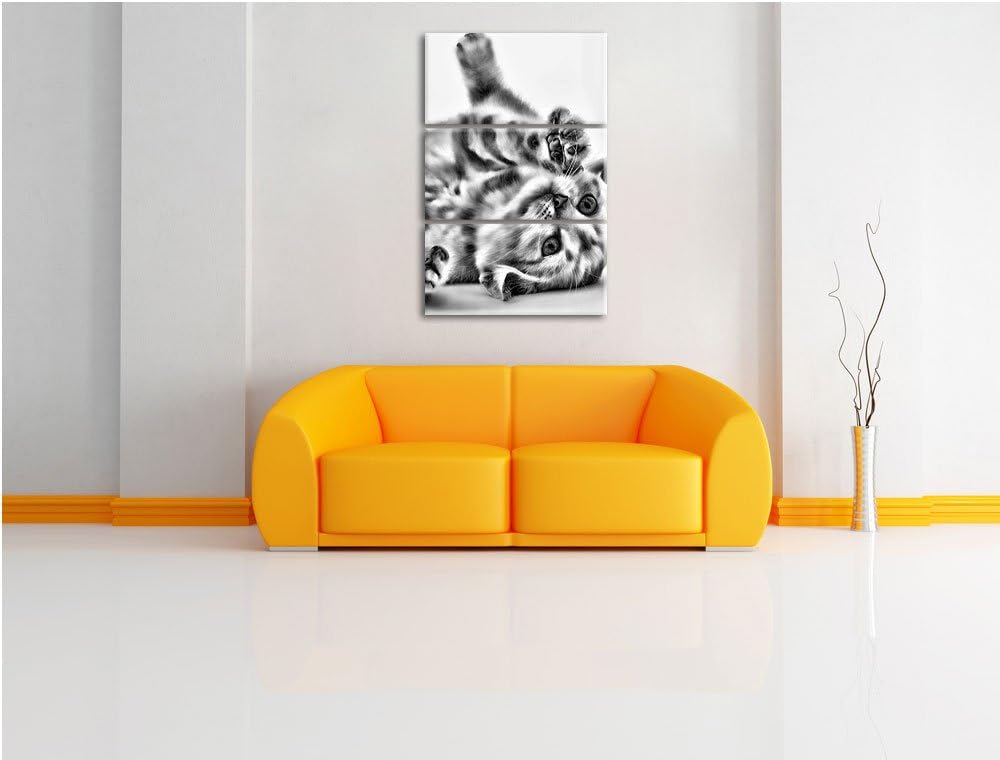 Pixxprint Kleine Katze als Leinwandbild/Grösse: 3 Teilig (120x80) / Wandbild/Kunstdruck/fertig bespa