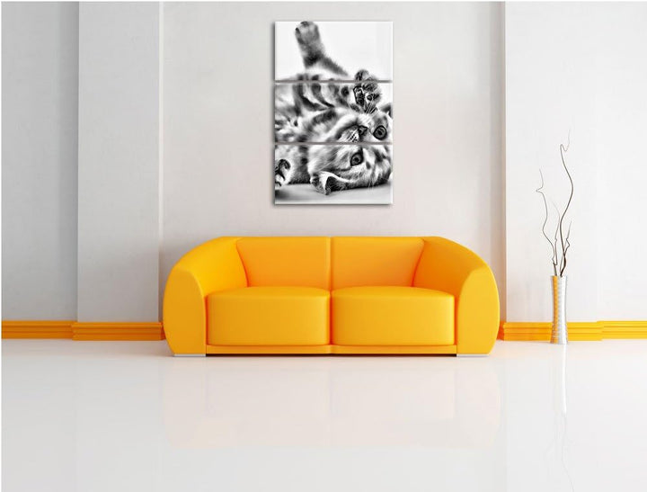 Pixxprint Kleine Katze als Leinwandbild/Grösse: 3 Teilig (120x80) / Wandbild/Kunstdruck/fertig bespa