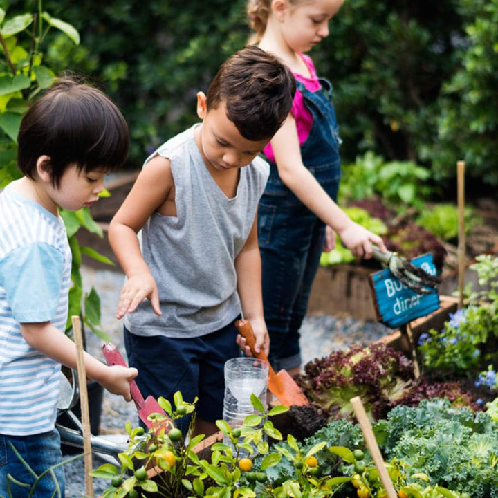 Bunte Mini-Garten-Handschaufeln aus Metall, Gartengeräte für Kinder, Jugendliche, Erwachsene, Bodenp