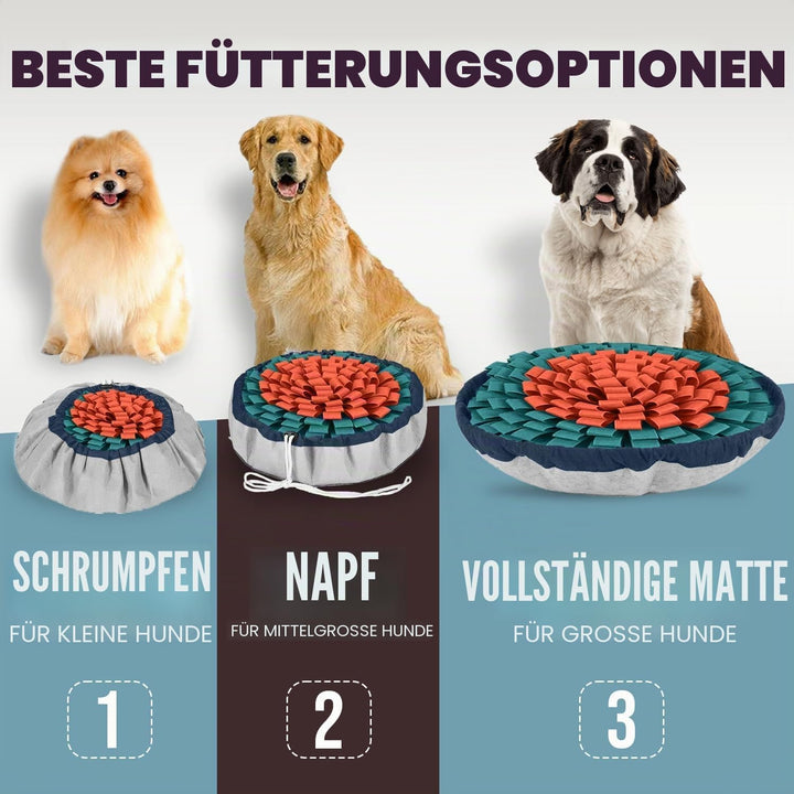 PET ARENA Schnüffelteppich Hund – Verstellbares, interaktives Puzzle-Spielzeug für grosse und kleine