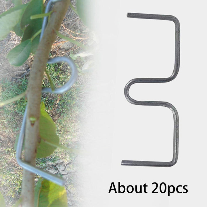Colcolo Astzieher Halter für Obstzweige, Astfixierer Zweigspreize für Gartenbäume, Pflanzenstütze fü