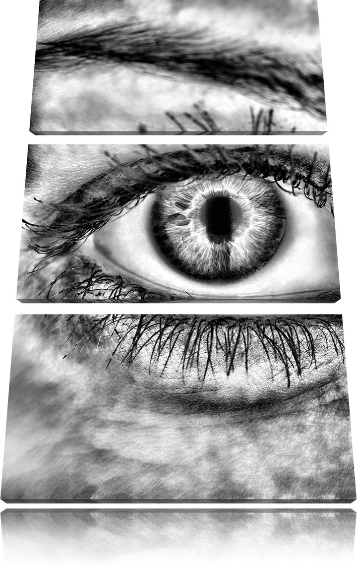 Pixxprint Monocrome, Auge Einer Frau 3-Teiler Leinwandbild 120x80 Bild auf Leinwand
