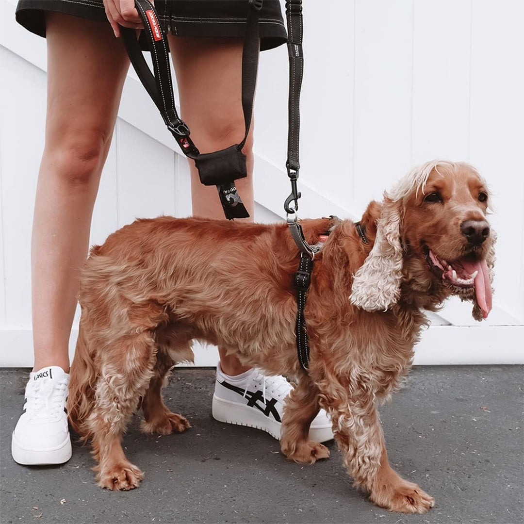 EzyDog Anti Zieh Geschirr Hund - Crosscheck Hundegeschirr für Kleine, Mittelgrosse und Grosse Hunde,