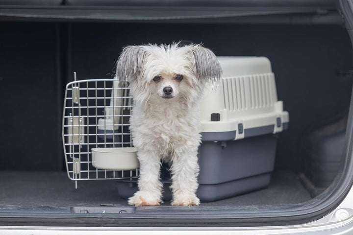 Karlie Flugzeugbox Nomad L: 51 cm B: 33.5 cm H: 33 cm XS < 5,00 kg Frontloader Gr. XS - L: 51 cm B: