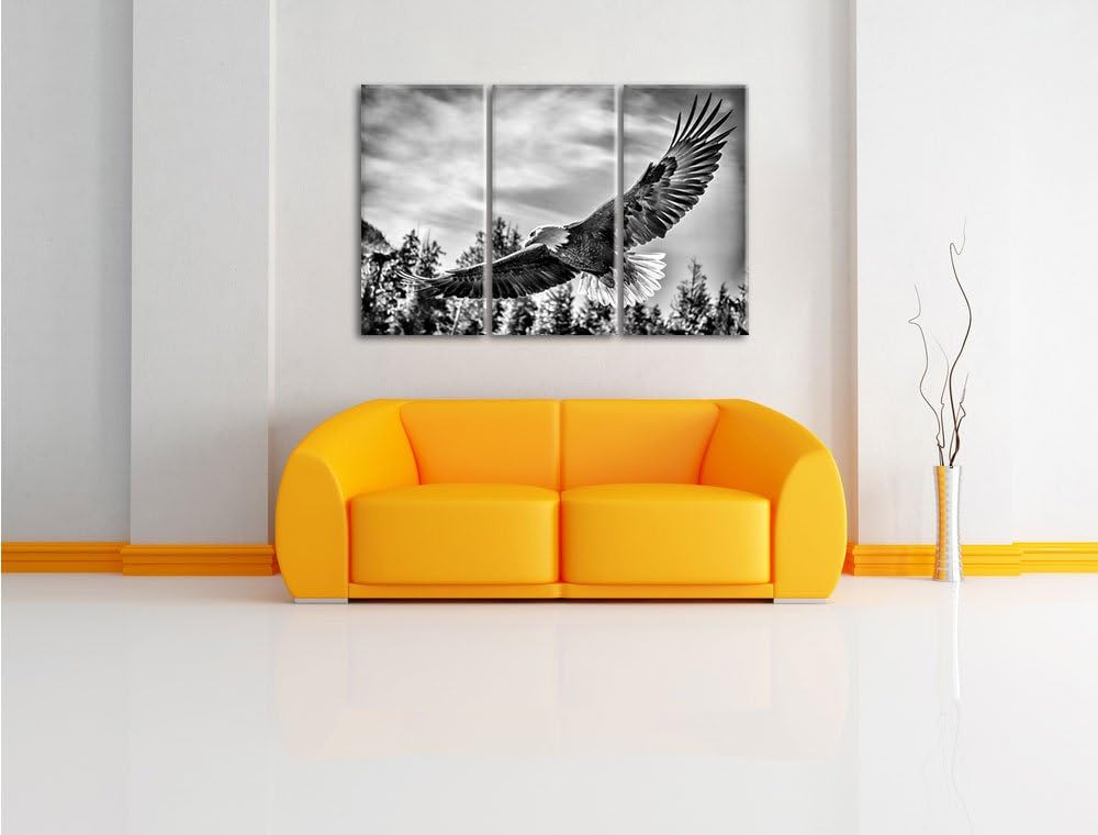 Pixxprint Adler als Leinwandbild | Grösse: 3 Teilig (120x80) | Wandbild| Kunstdruck | fertig bespann