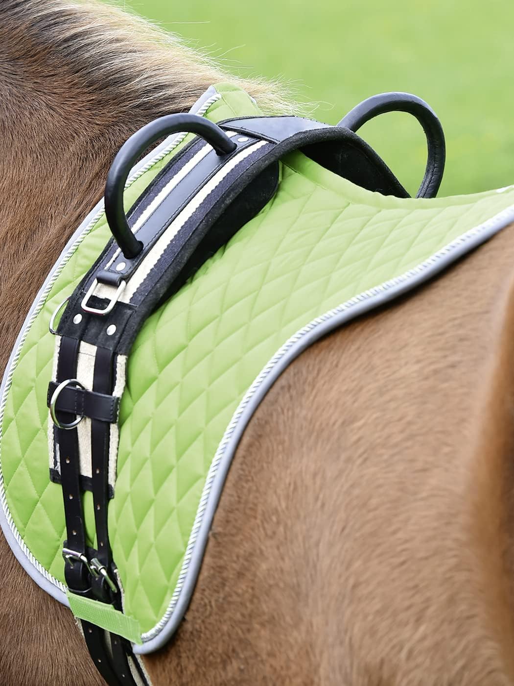 Longiergurt Double schwarz Minishetty, schwarz Minishetty