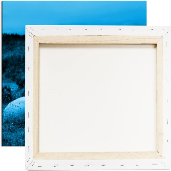 deyoli Zwei niedliches Schafe Format: 70x70 Effekt: Monocrome Blau als Leinwandbild, Motiv fertig ge