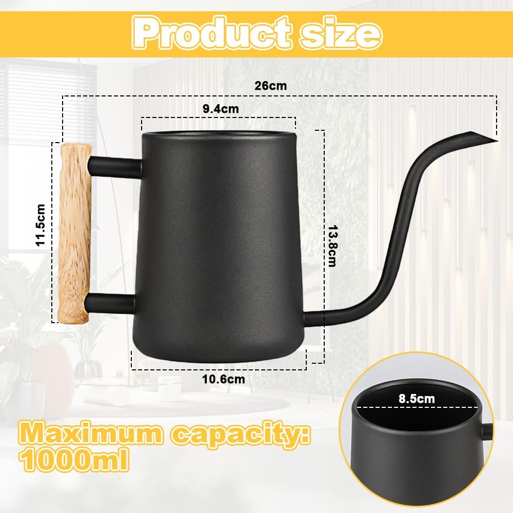 LPAMABA 1L Indoor Giesskanne Edelstahl Giesskanne Klein GiesskanneGiesskanne für Zimmerpflanzen Sukk