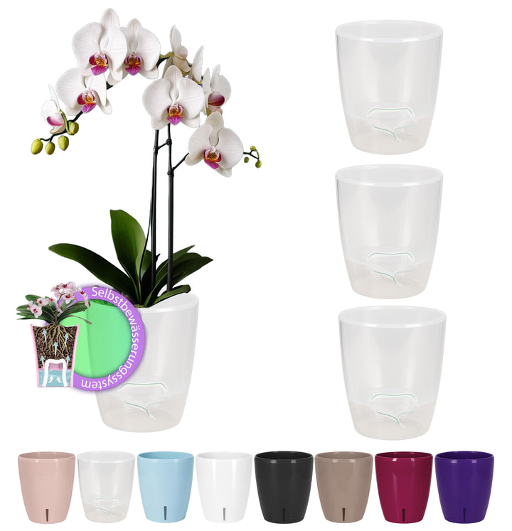 Santino 4er-Set Orchideentopf D 12cm Selbstbewässernder Topf mit Dochtsystem und Wasserstandsanzeige