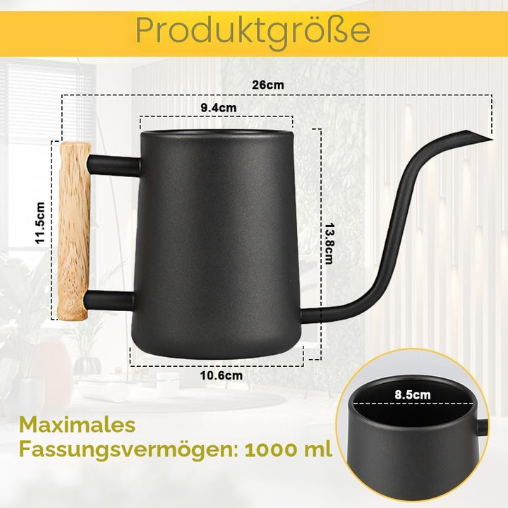 LPAMABA 1L Indoor Giesskanne Edelstahl Giesskanne Klein GiesskanneGiesskanne für Zimmerpflanzen Sukk