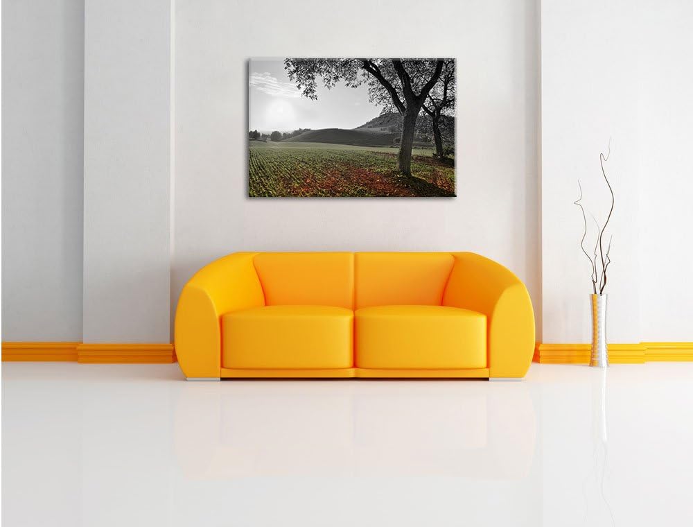 Pixxprint Landschaft im Herbst als Leinwandbild/Grösse: 100x70 cm/Wandbild/Kunstdruck/fertig bespann