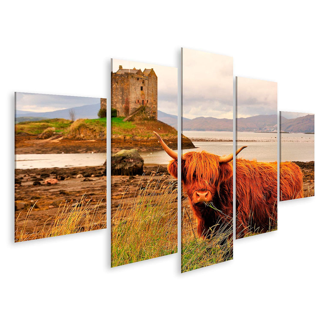 islandburner Bild auf Leinwand Hochlandkuh Loch Linnhe Schottland Bilder Wandbilder Poster Leinwand