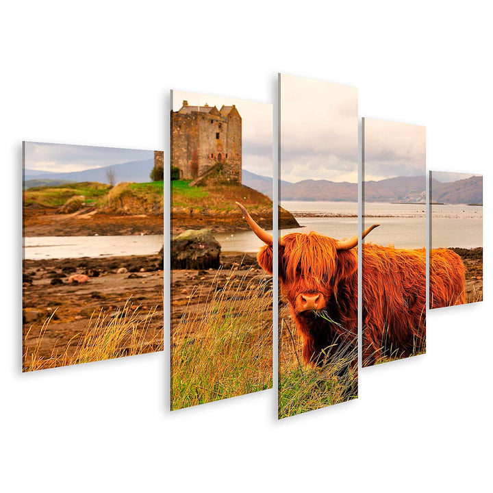 islandburner Bild auf Leinwand Hochlandkuh Loch Linnhe Schottland Bilder Wandbilder Poster Leinwand