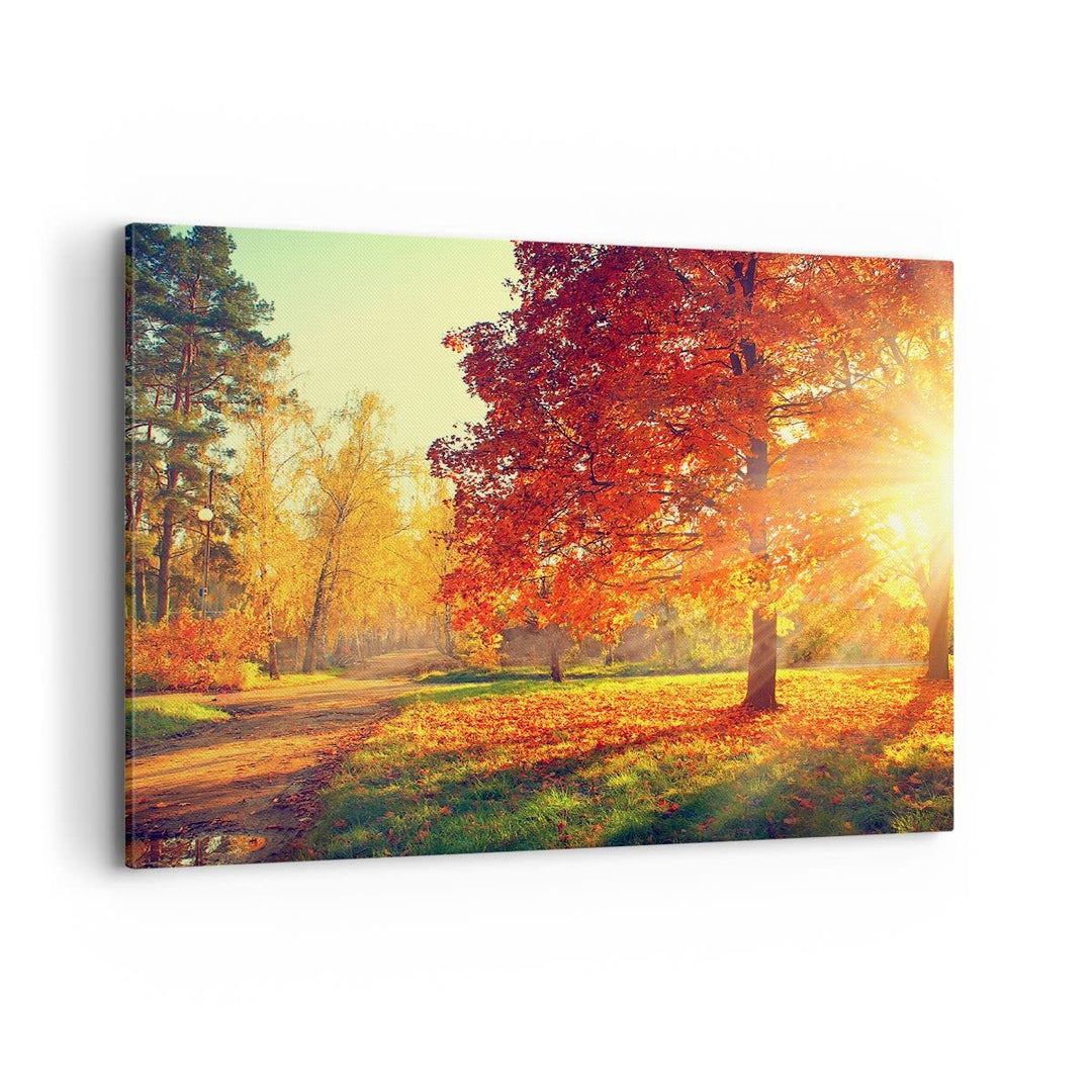 Bilder auf Leinwand 100x70cm Leinwandbild mit Rahmen Park Herbst Baum Gross Wanddeko Bild Schlafzimm