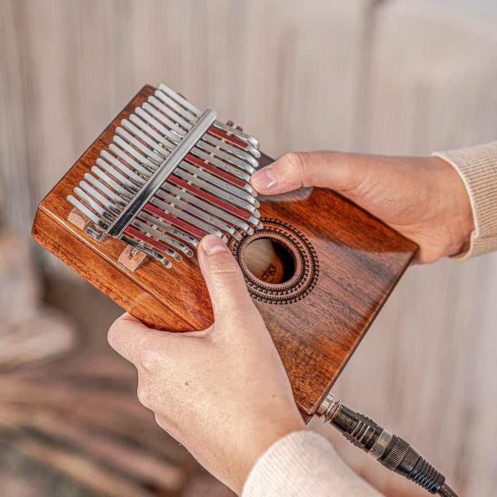 Meinl Sonic Energy PKL1707H Kalimba mit Tonabnehmer Pickup Daumenklavier + keepdrum Schlüsselanhänge