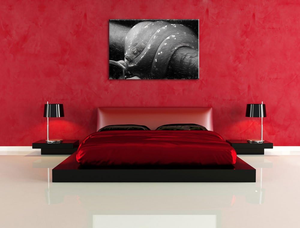 Pixxprint Grüne exotische Schlange als Leinwandbild/Grösse: 100x70 cm/Wandbild/Kunstdruck/fertig bes