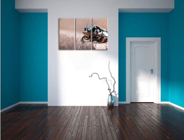 Pixxprint Nashornkäfer Porträt / 3-Teilig/Gesamtmass 120cm Leinwandbild bespannt auf Holzrahmen/Wand