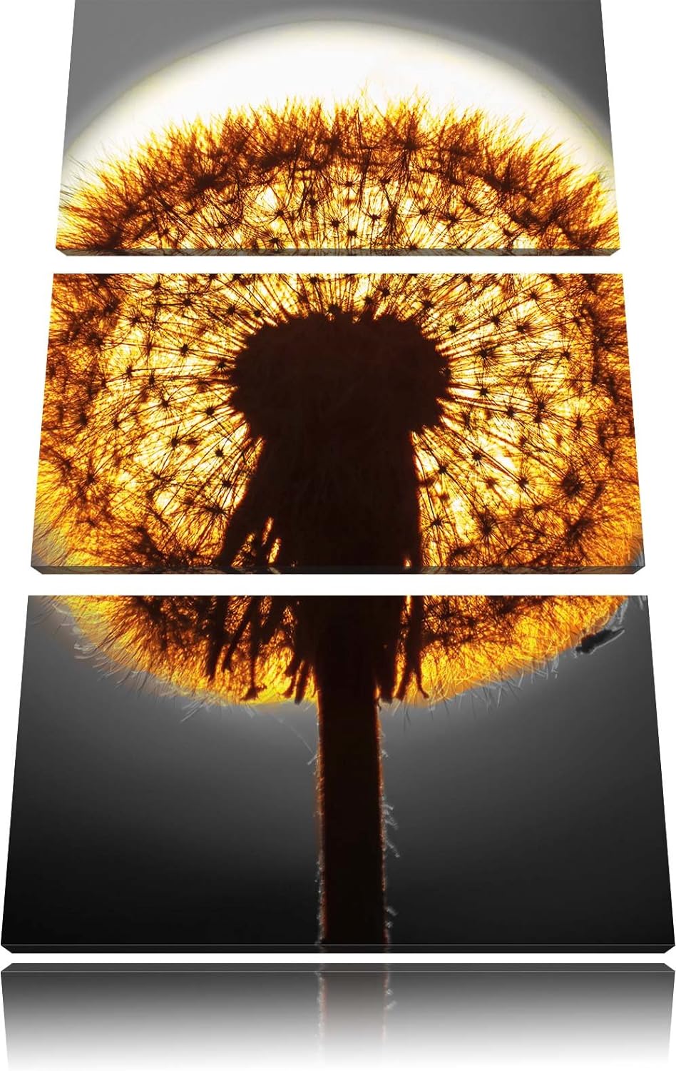 Pixxprint Pusteblume vor untergehender Sonne schwarz/weiss 3-Teiler Leinwandbild 120x80 Bild auf Lei