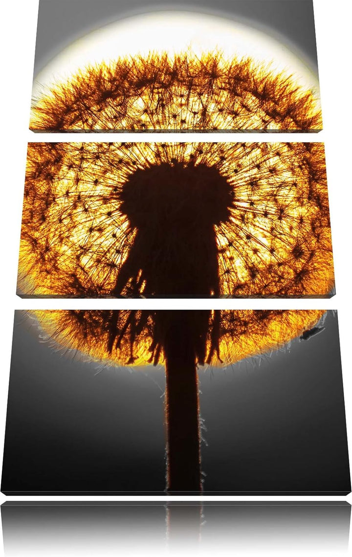 Pixxprint Pusteblume vor untergehender Sonne schwarz/weiss 3-Teiler Leinwandbild 120x80 Bild auf Lei