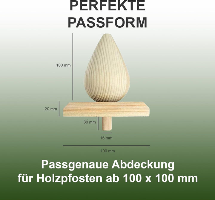 h2i Pfostenkappe Birne | Holz imprägniert | 100 x 100 mm | 10 Stück | Eckige Abdeckkappe für Garten