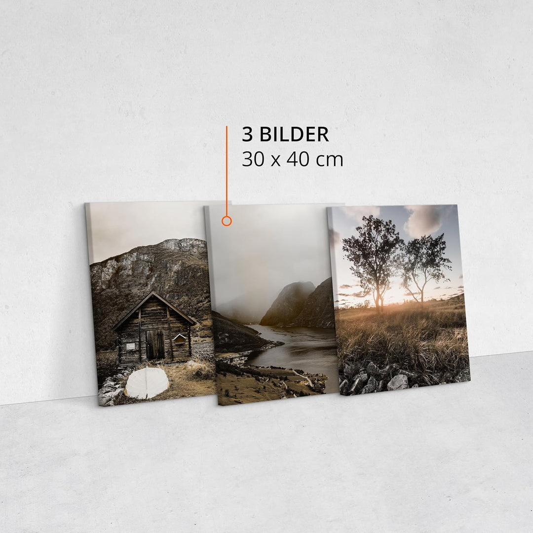 Muralo - Wandbilder Set - Leinwand Bilder Set Aufhängefertig - Bilder für Wohnzimmer Schlafzimmer -