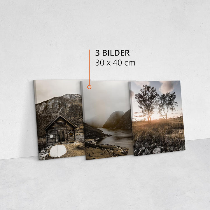 Muralo - Wandbilder Set - Leinwand Bilder Set Aufhängefertig - Bilder für Wohnzimmer Schlafzimmer -