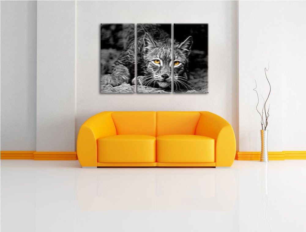schöner wachsamer Luchs schwarz/weiss Deluxe 3-Teiler Leinwandbild 120x80 Bild auf Leinwand, XXL rie